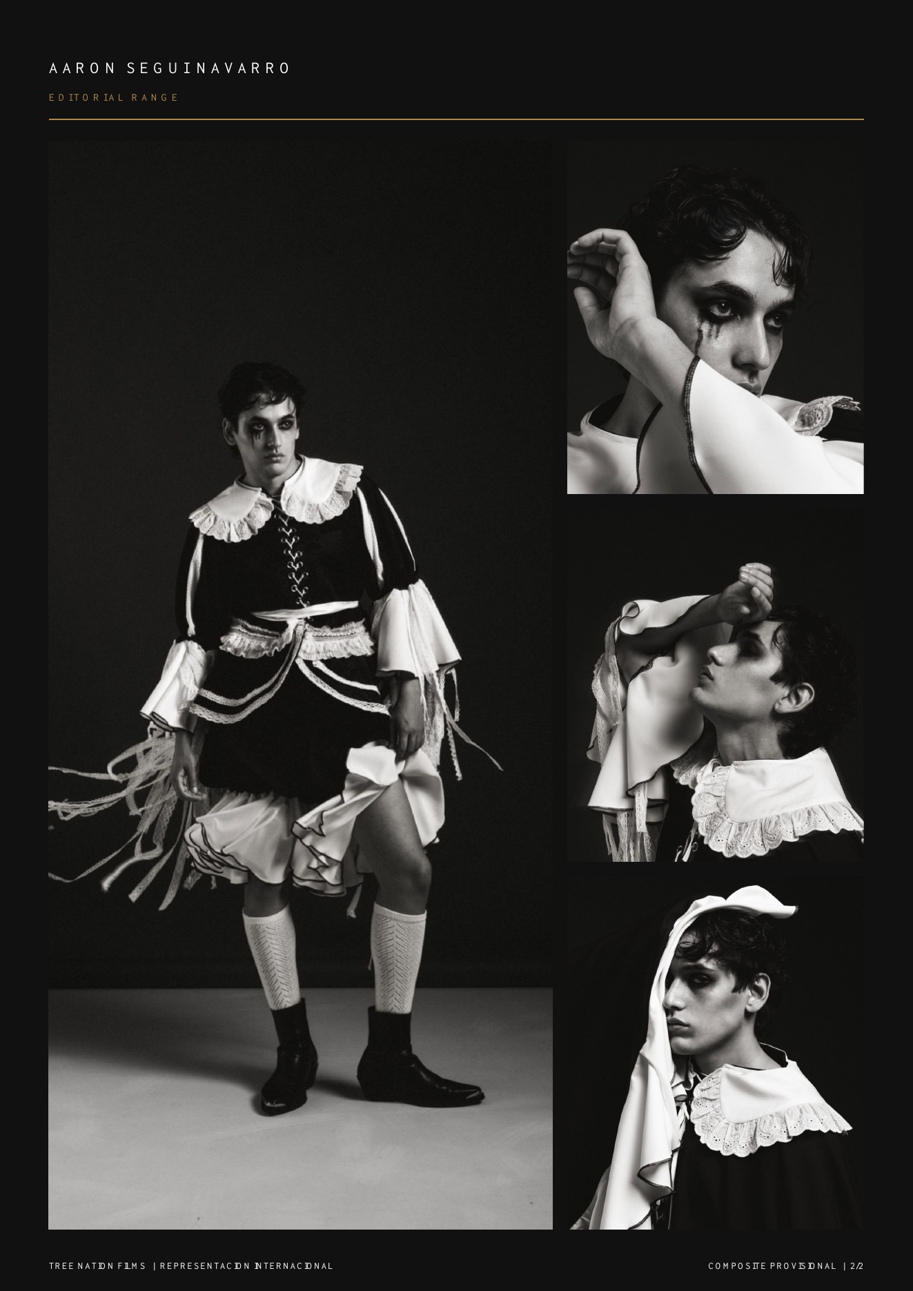 Composite profesional — Aarón Seguí Navarro, 2
